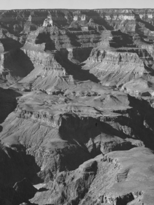 Wachstum erschließen