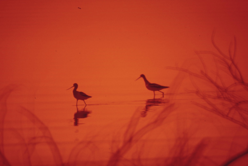 Beziehungsarbeit ist eine&nbsp;Kunst